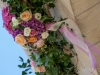 annatom-slid-003_garland-focus annatom-slid-003_garland-focus