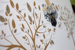 myradr_hd-716_seating-plan-tree myradr_hd-716_seating-plan-tree